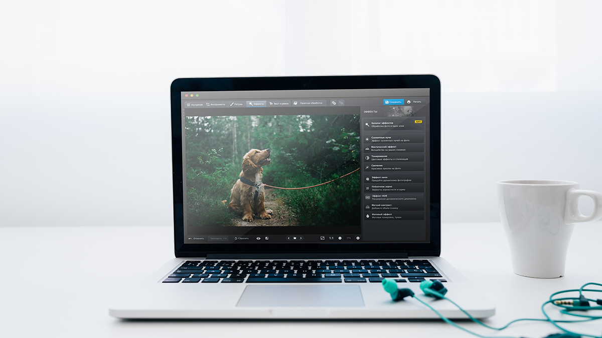 Лучшие аналоги Фотошопа на macOS