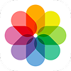 Логотип Apple Photos