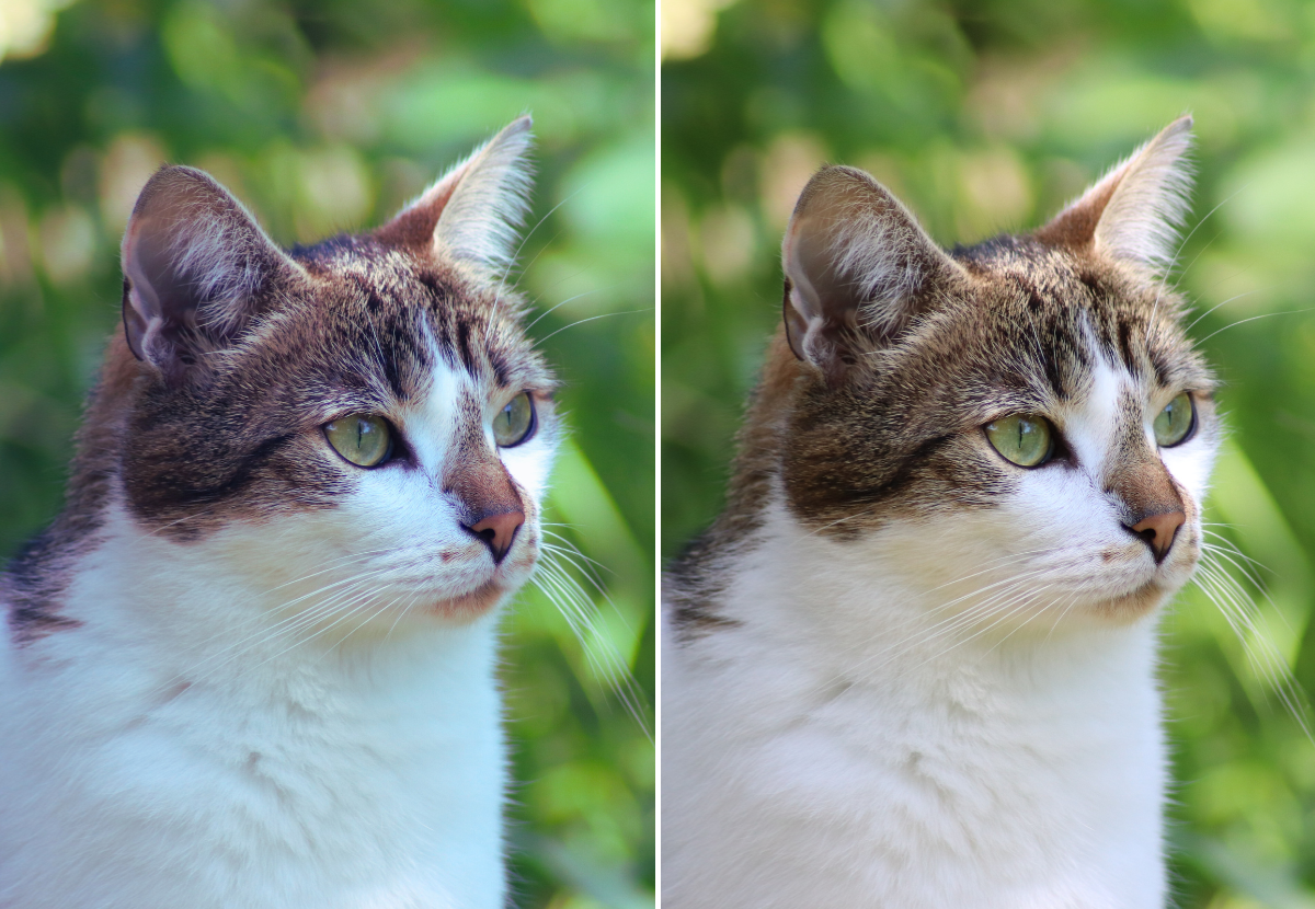 Изменить цветокоррекцию на фото онлайн