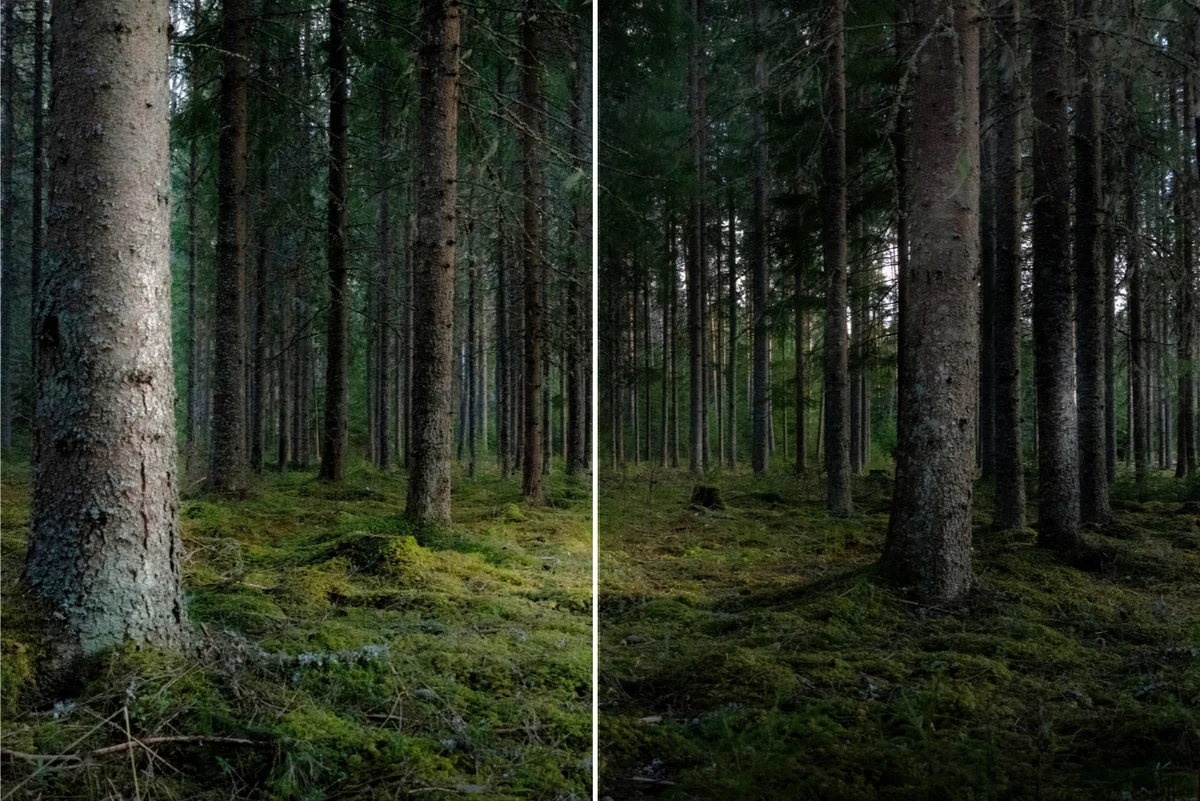 Экспозиция на фото онлайн