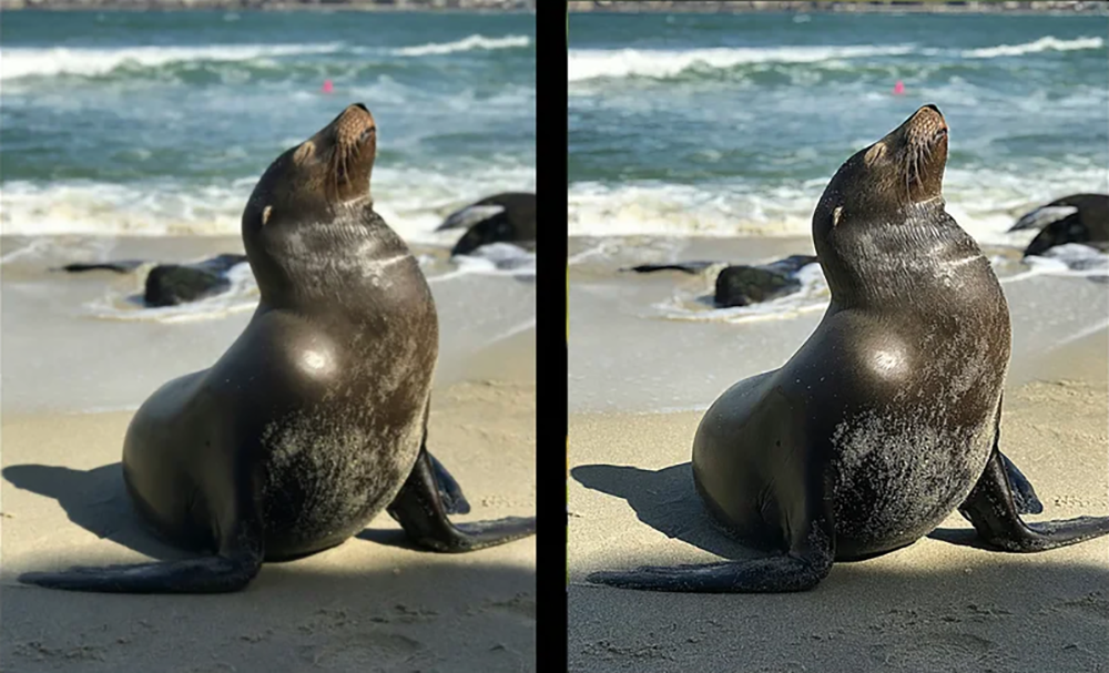 Как убрать блюр с фотографии