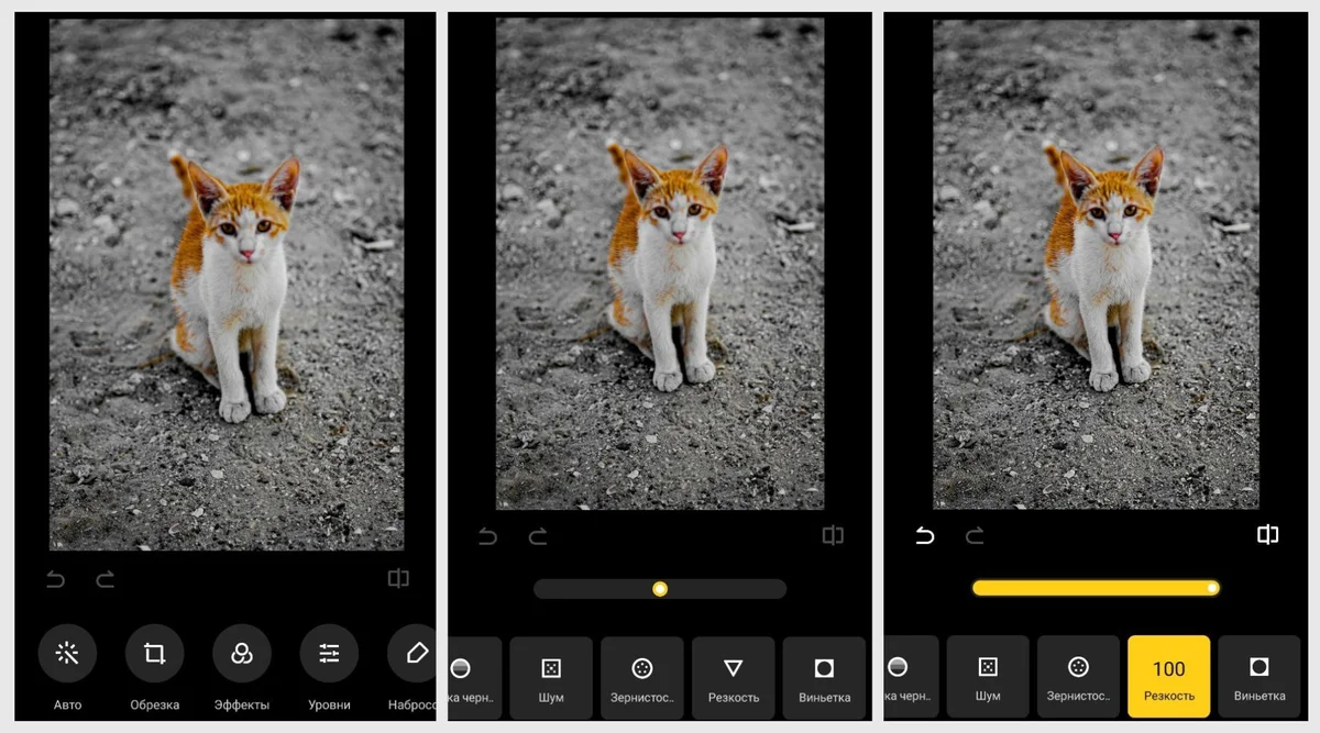 фото на iOS/Андроиде