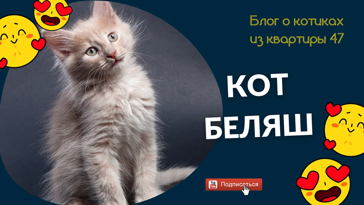 готовое превью для видео