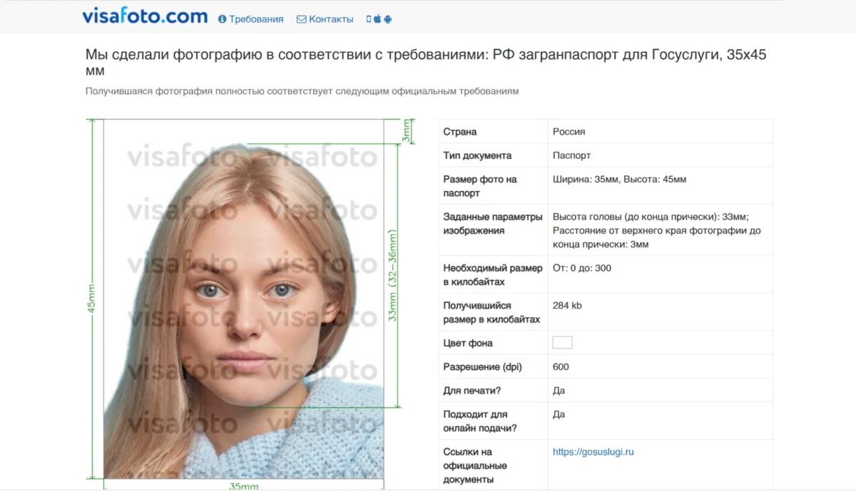 Интерфейс VisaPhoto