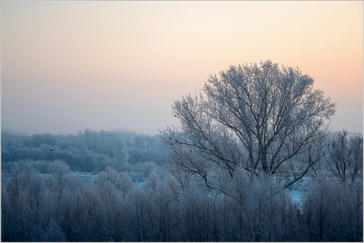 Фотография после детализации