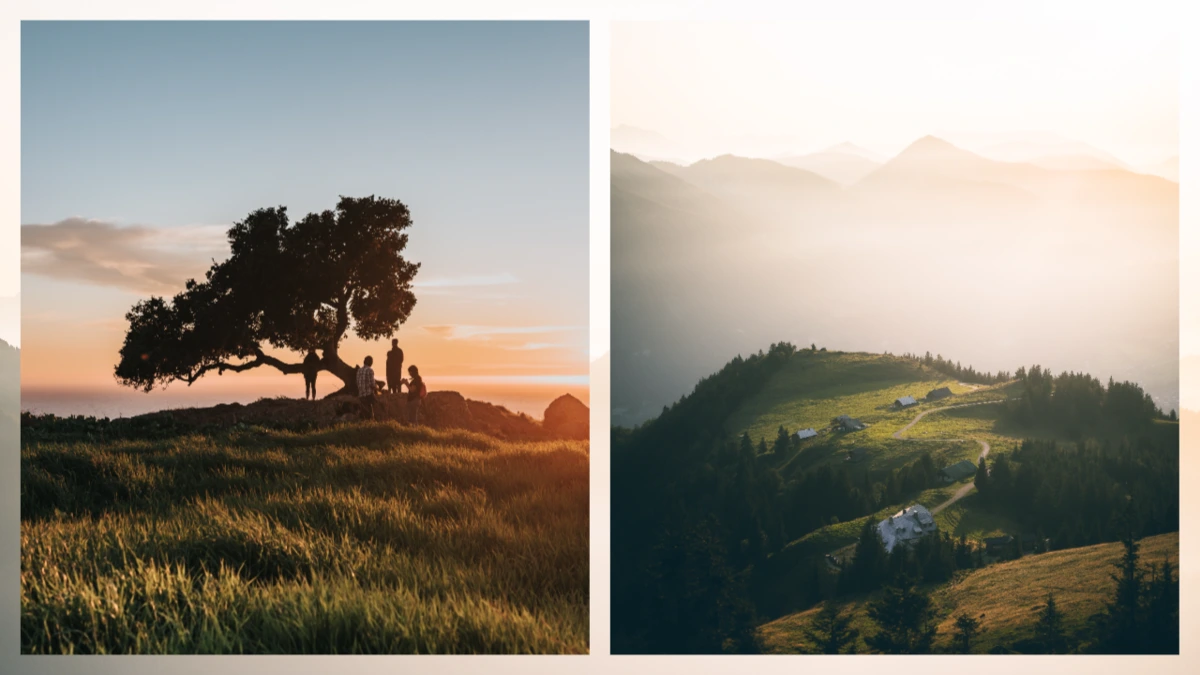 Сделать коллаж из 2 фото онлайн бесплатно