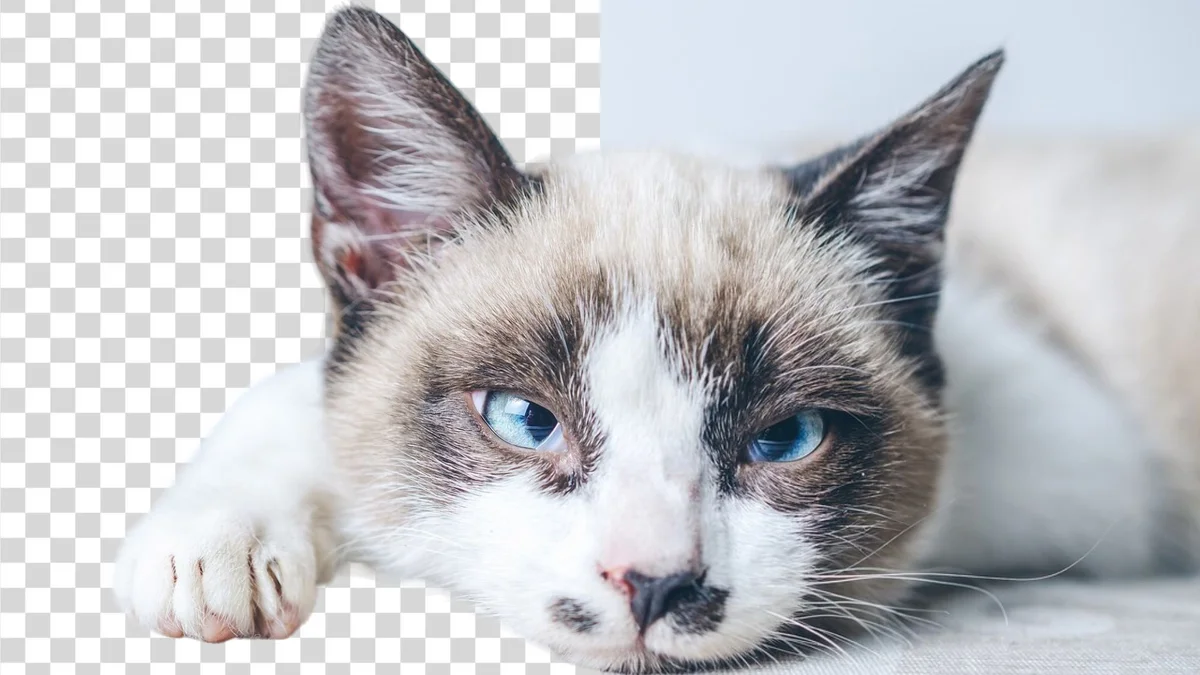 Удаление фона