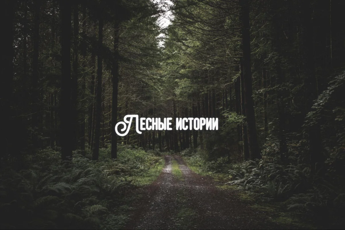 Фотография после добавления надписи